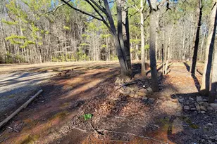 19145 Ga Hwy 100, Franklin, GA 30217 - Photo 16