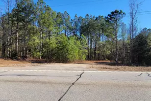 19145 Ga Hwy 100, Franklin, GA 30217 - Photo 4