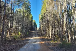 19145 Ga Hwy 100, Franklin, GA 30217 - Photo 38