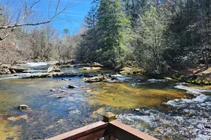 63 Misty Oaks Ct, Ellijay, GA 30536 - Photo 64