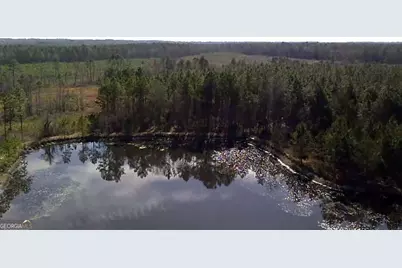 40 Drew Bennett Road, Midville, GA 30441 - Photo 36