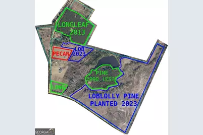 40 Drew Bennett Road, Midville, GA 30441 - Photo 40