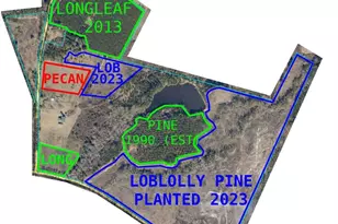 40 Drew Bennett Rd, Midville, GA 30441 - Photo 40