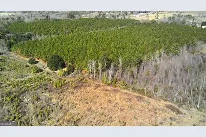 40 Drew Bennett Road, Midville, GA 30441 - Photo 34