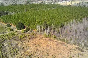 40 Drew Bennett Rd, Midville, GA 30441 - Photo 34