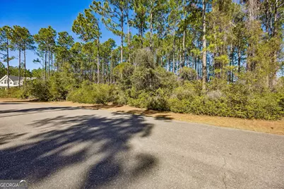 106 Wild Horse Court, Saint Marys, GA 31558 - Photo 4