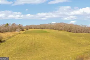 685 James Springs Rd, Danielsville, GA 30633 - Photo 74