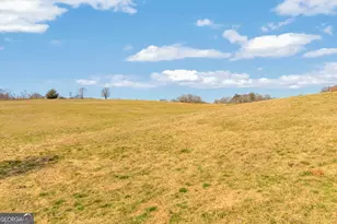 685 James Springs Rd, Danielsville, GA 30633 - Photo 68