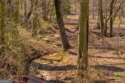 685 James Springs Road, Danielsville, GA 30633 - Photo 28