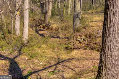 685 James Springs Road, Danielsville, GA 30633 - Photo 60