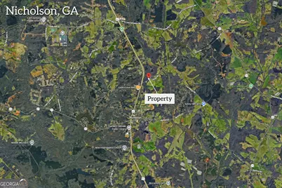 0 S Highway 441, Nicholson, GA 30565 - Photo 10