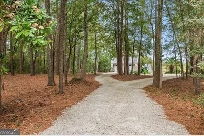 1579 NE Julienton Drive, Townsend, GA 31331 - Photo 12