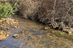 496 Scataway Rd, Hiawassee, GA 30546 - Photo 6