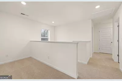 298 Friendship Oak Way, Hampton, GA 30228 - Photo 20