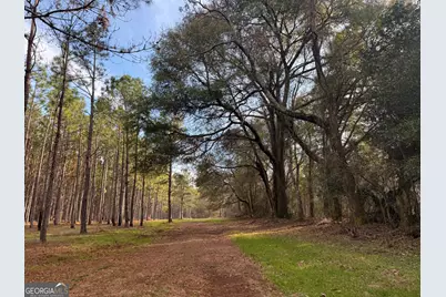 014 014 Sr-45, White Plains, GA 31780 - Photo 1