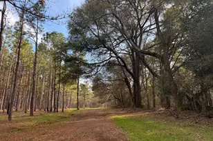 014 014 Sr-45, White Plains, GA 31780 - Photo 1