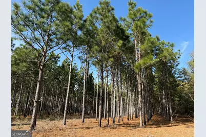 014 014 Sr-45, White Plains, GA 31780 - Photo 2