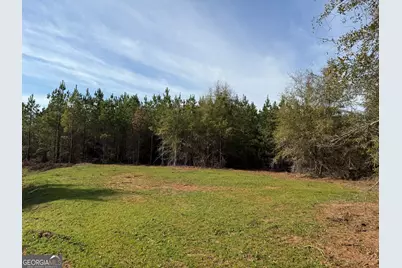 014 014 Sr-45, White Plains, GA 31780 - Photo 6