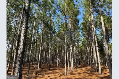 014 014 Sr-45, White Plains, GA 31780 - Photo 4