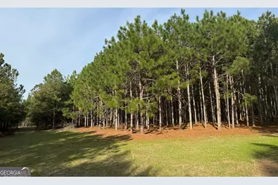 014 014 Sr-45, White Plains, GA 31780 - Photo 8