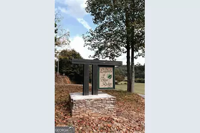 Lot 53 Mountain Laurel Ridge, Mineral Bluff, GA 30559 - Photo 8