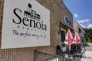 180 Redhaven Dr, Senoia, GA 30276 - Photo 34