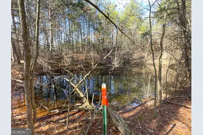 881 Bolcar Boulevard (27 +/- Acres), La Fayette, GA 30728 - Photo 38