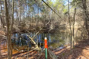 881 Bolcar Blvd (27 +/- Acres), La Fayette, GA 30728 - Photo 38