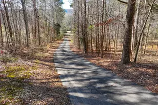 881 Bolcar Blvd (27 +/- Acres), La Fayette, GA 30728 - Photo 34