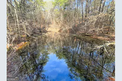 881 Bolcar Boulevard (27 +/- Acres), La Fayette, GA 30728 - Photo 6