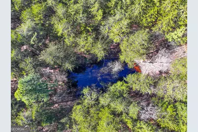 881 Bolcar Boulevard (27 +/- Acres), La Fayette, GA 30728 - Photo 10