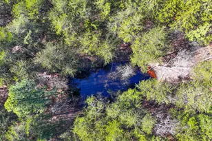 881 Bolcar Blvd (27 +/- Acres), La Fayette, GA 30728 - Photo 10