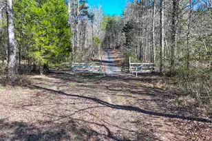 881 Bolcar Blvd (27 +/- Acres), La Fayette, GA 30728 - Photo 12