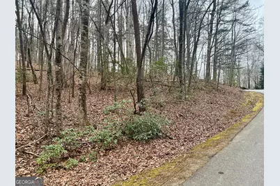 0 Willows Dr, Cleveland, GA 30528 - Photo 4