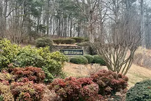 0 Willows Dr, Cleveland, GA 30528 - Photo 1