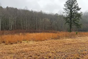 Lot 42 Whisper Woods Rd, Hiawassee, GA 30546 - Photo 1