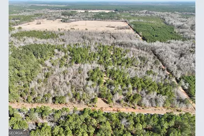 South Tract 0 Shady Grove Road, Abbeville, GA 31001 - Photo 4