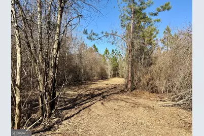 South Tract 0 Shady Grove Road, Abbeville, GA 31001 - Photo 20