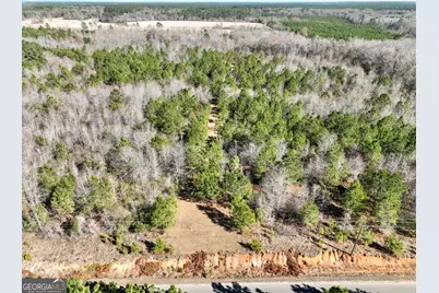 South Tract 0 Shady Grove Road, Abbeville, GA 31001 - Photo 10