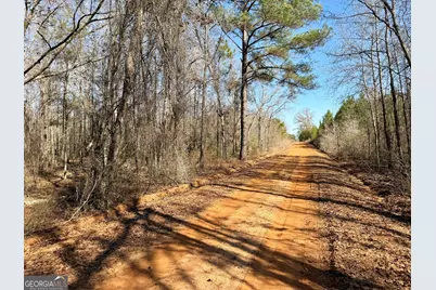 South Tract 0 Shady Grove Road, Abbeville, GA 31001 - Photo 18