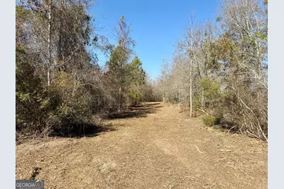 South Tract 0 Shady Grove Road, Abbeville, GA 31001 - Photo 16