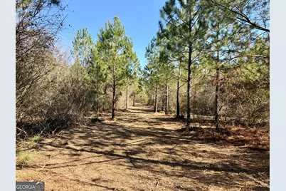 South Tract 0 Shady Grove Road, Abbeville, GA 31001 - Photo 24