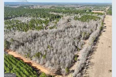 South Tract 0 Shady Grove Road, Abbeville, GA 31001 - Photo 14