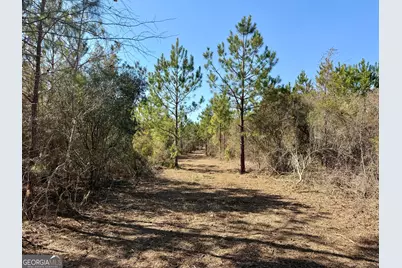 South Tract 0 Shady Grove Road, Abbeville, GA 31001 - Photo 26