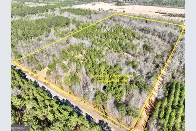 South Tract 0 Shady Grove Road, Abbeville, GA 31001 - Photo 1