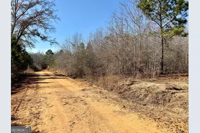 South Tract 0 Shady Grove Road, Abbeville, GA 31001 - Photo 12