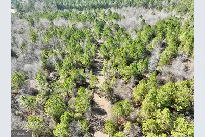 South Tract 0 Shady Grove Road, Abbeville, GA 31001 - Photo 8