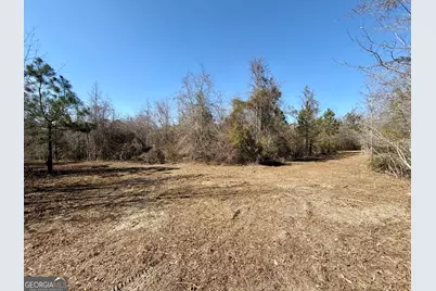 South Tract 0 Shady Grove Road, Abbeville, GA 31001 - Photo 6