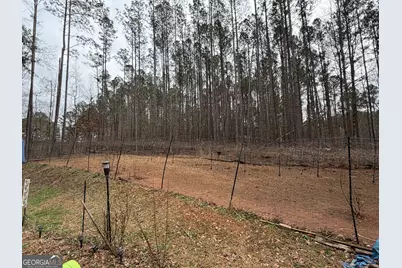 164 Sims Road, Hogansville, GA 30230 - Photo 38