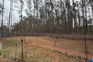 164 Sims Rd, Hogansville, GA 30230 - Photo 38